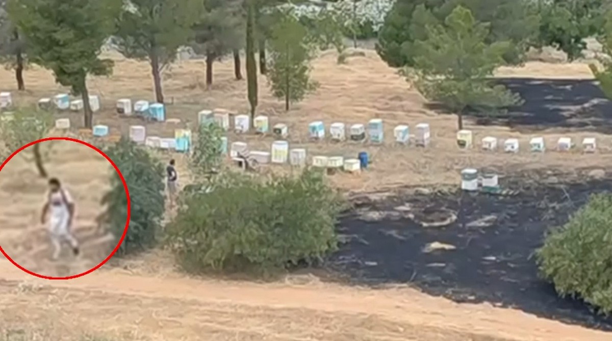 μελισσοκόμο