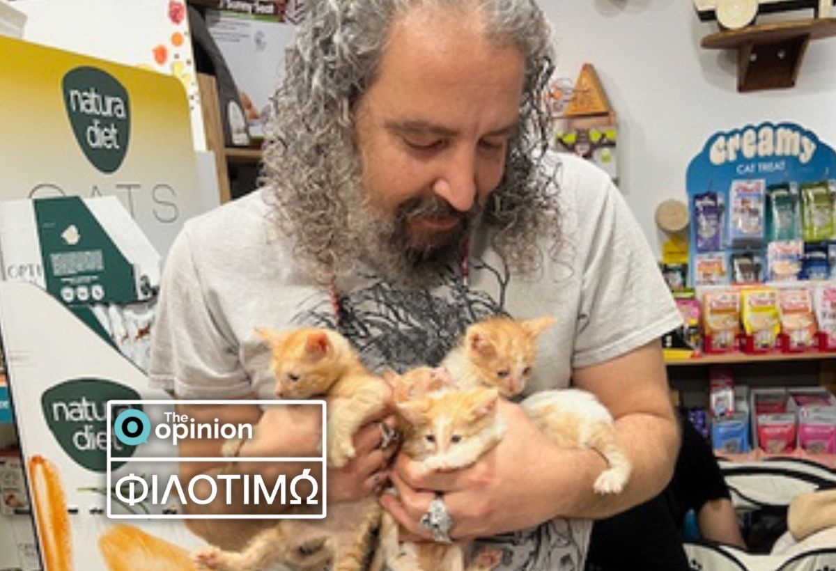 Γιάννης Μπιτούλης: Φροντίζοντας τις αδέσποτες γάτες της Θεσσαλονίκης