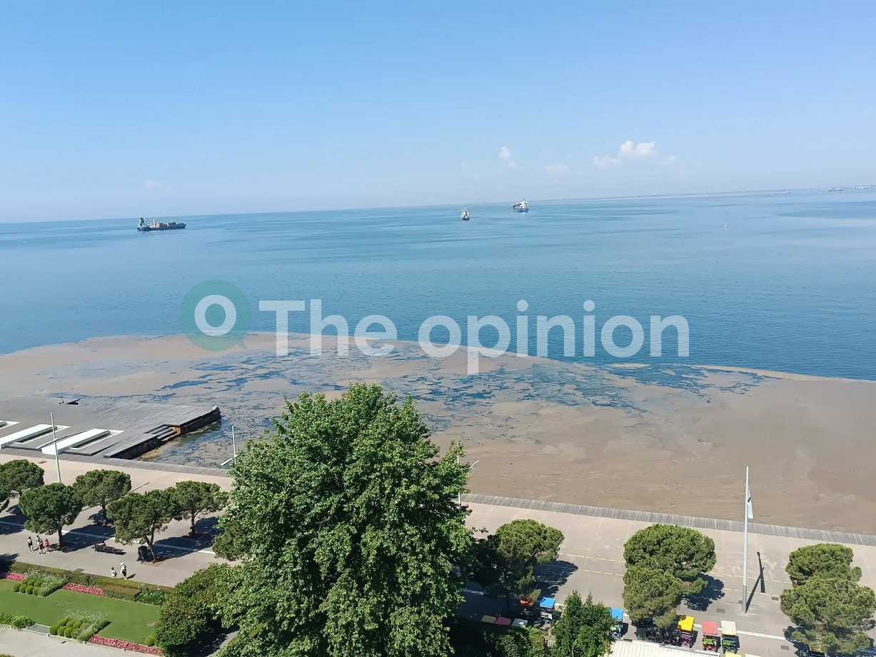 Θεσσαλονίκη: Φυτοπλαγκτόν «καταπίνουν» τον Θερμαϊκό (ΦΩΤΟ-VIDEO)