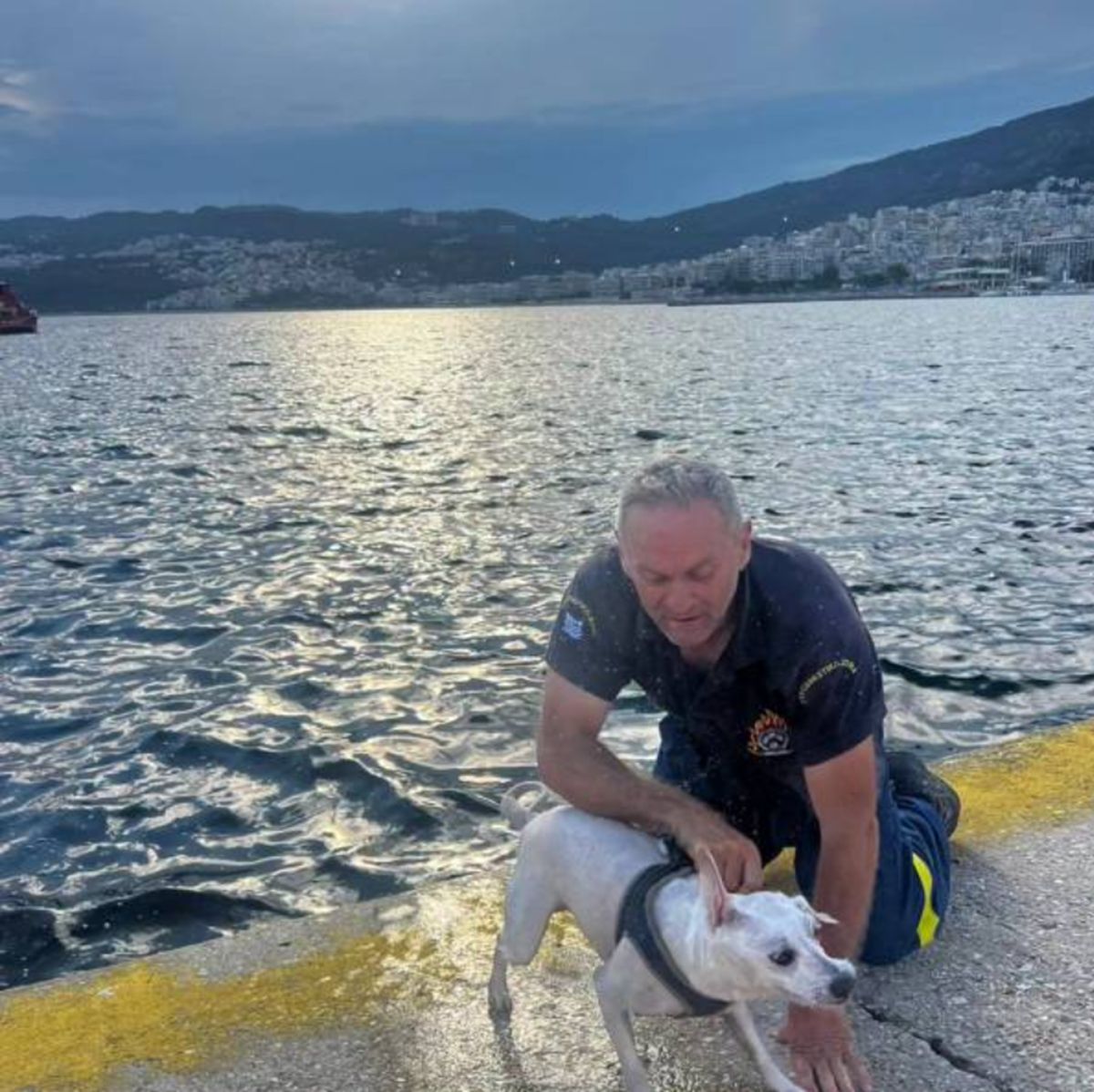 Καβάλα: Πυροσβέστης έσωσε σκύλο που πάλευε εξαντλημένος στη θάλασσα (ΦΩΤΟ)