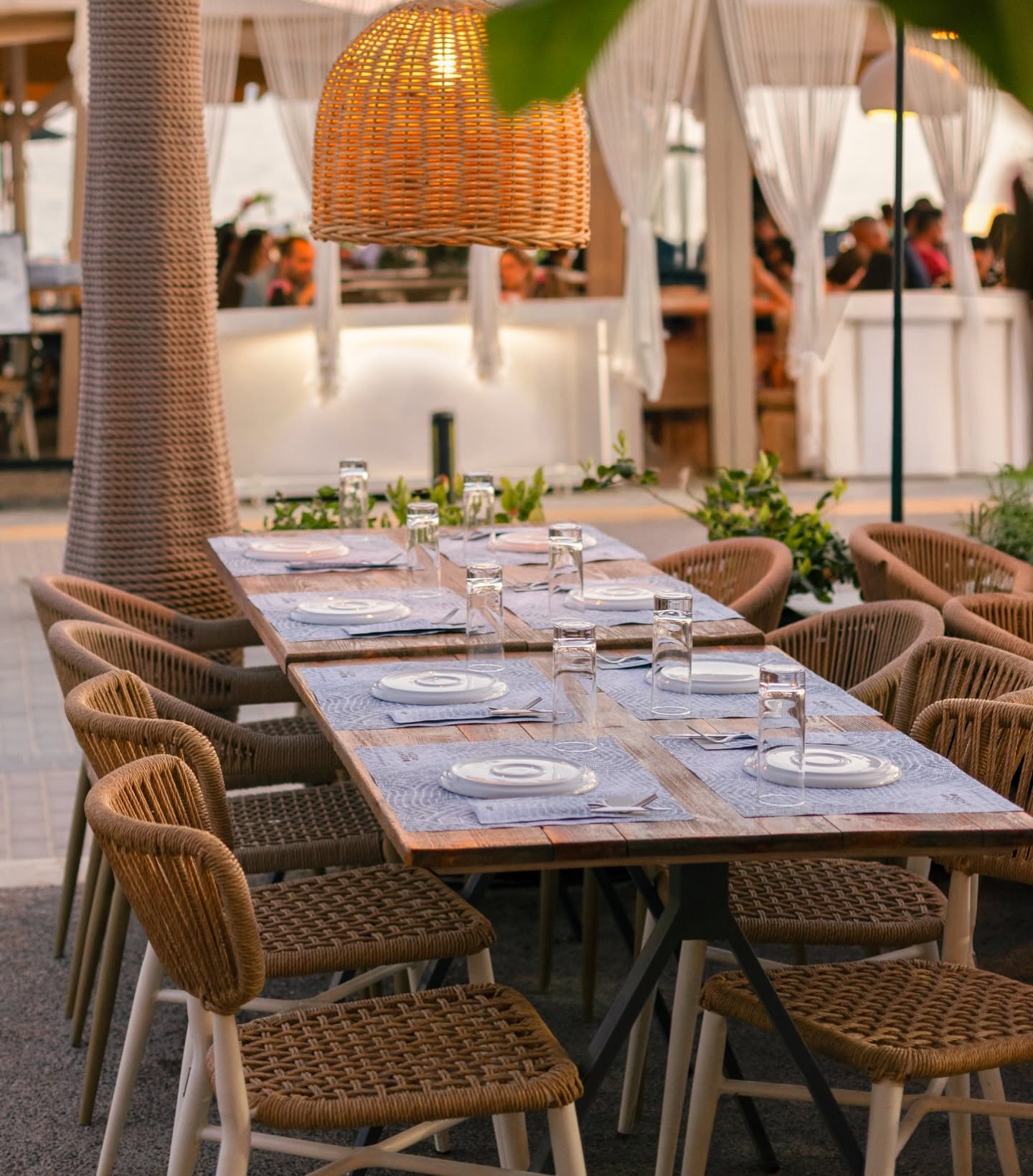 Alexandros Cafe Βar Restaurant: Ένας διαχρονικός προορισμός γεύσης και φιλοξενίας στη Νικήτη