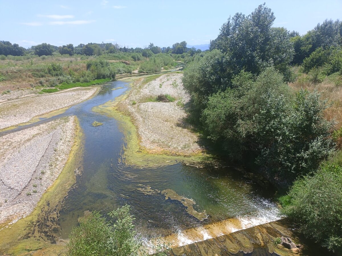 Η εικόνα του Πηνειού προβληματίζει – Οι ειδικοί προειδοποιούν (ΦΩΤΟ)