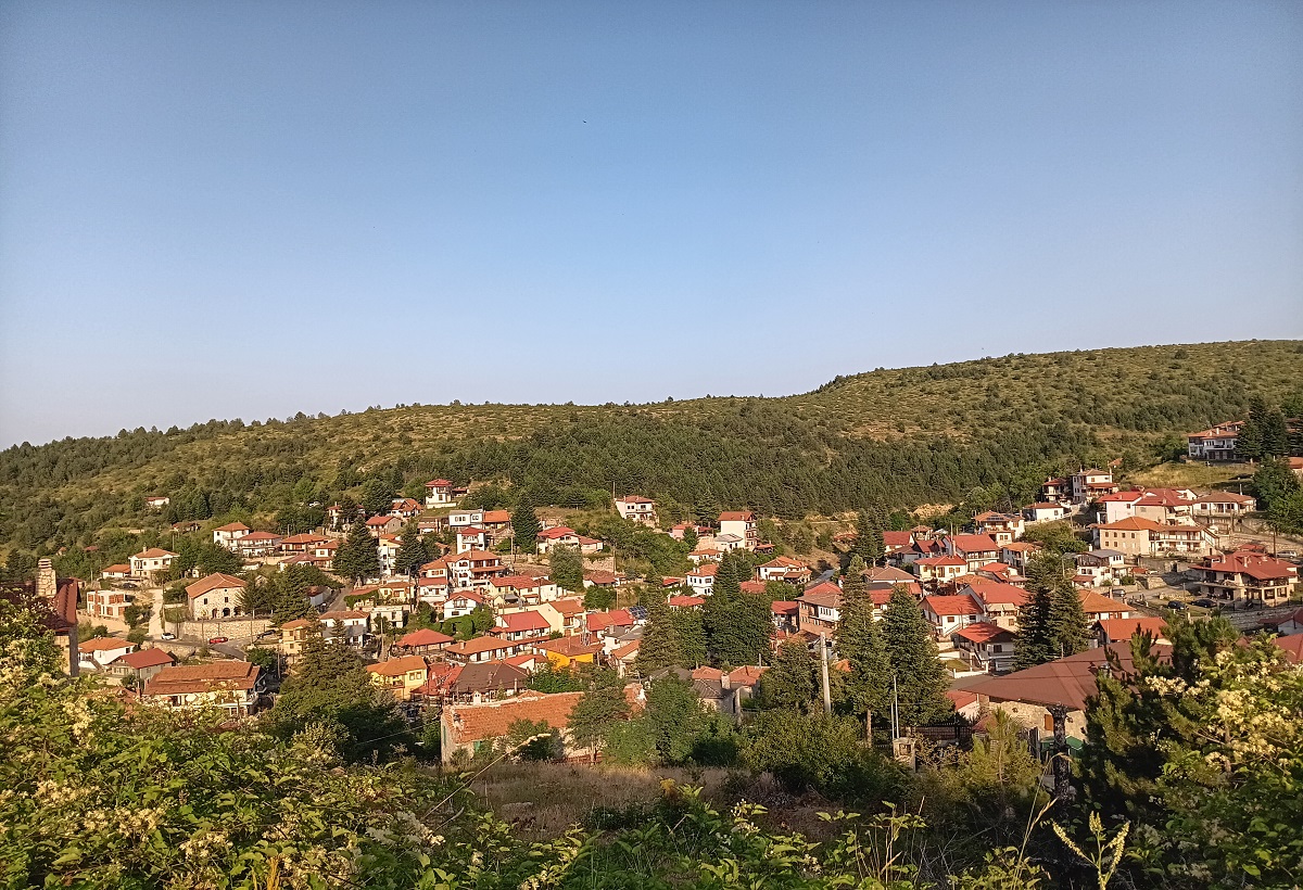 Σέλι