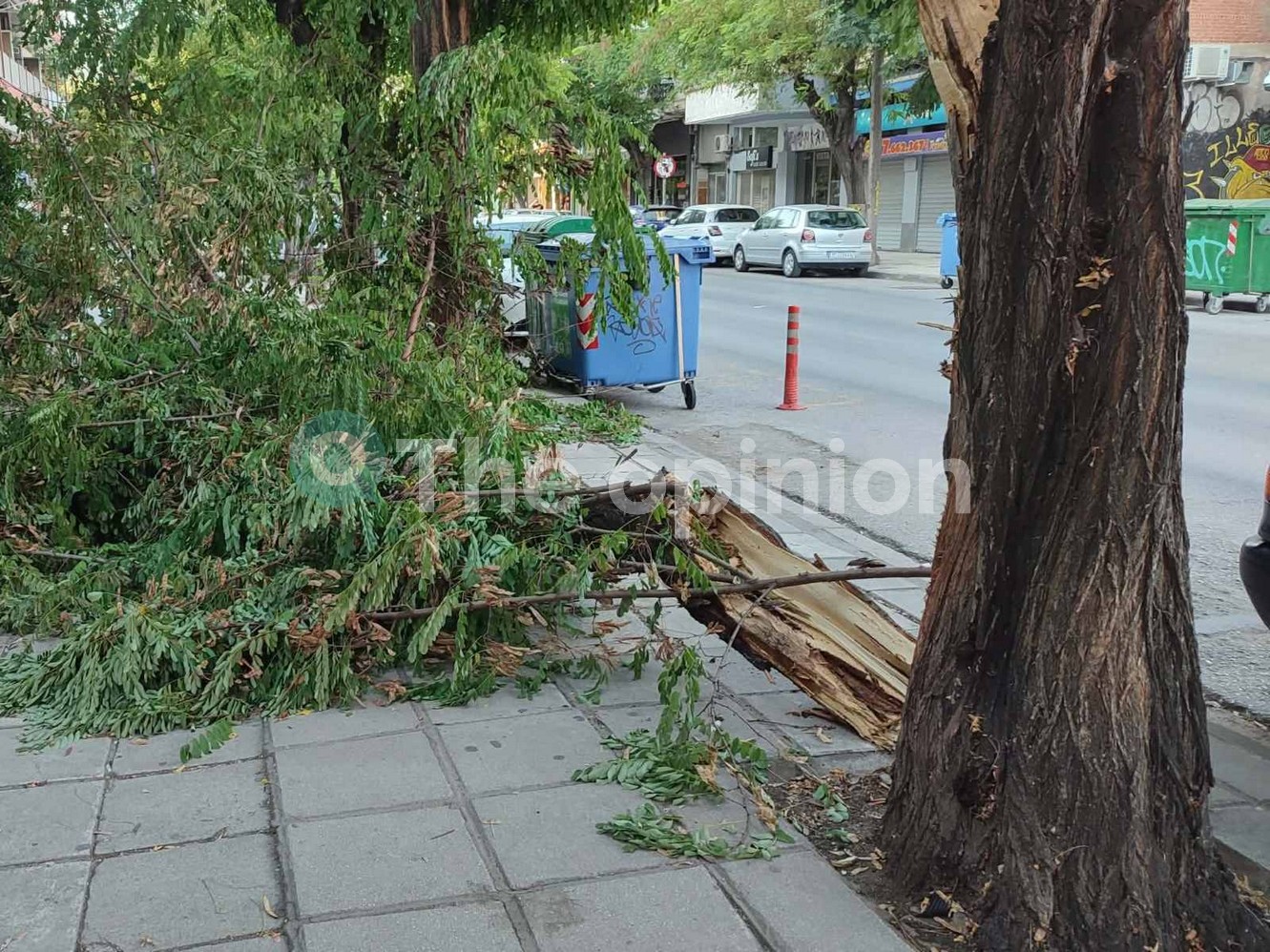 «Ευτυχώς έπεσε το βράδυ»: Πτώση δέντρου στην ανατολική Θεσσαλονίκη (ΦΩΤΟ)