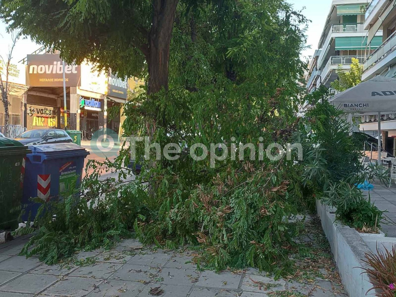«Ευτυχώς έπεσε το βράδυ»: Πτώση δέντρου στην ανατολική Θεσσαλονίκη (ΦΩΤΟ)