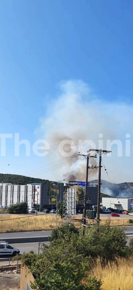 Θεσσαλονίκη: Συναγερμός για μεγάλη φωτιά στο Δερβένι – Ήχησε το 112, μάχη με τις φλόγες στο Περιβαλλοντικό Πάρκο (ΦΩΤΟ-VIDEO)