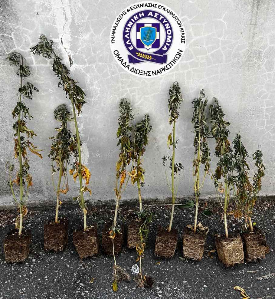 Θεσσαλονίκη: Μετέτρεψε το δωμάτιο του σπιτιού του σε… εργαστήρι ναρκωτικών (ΦΩΤΟ)
