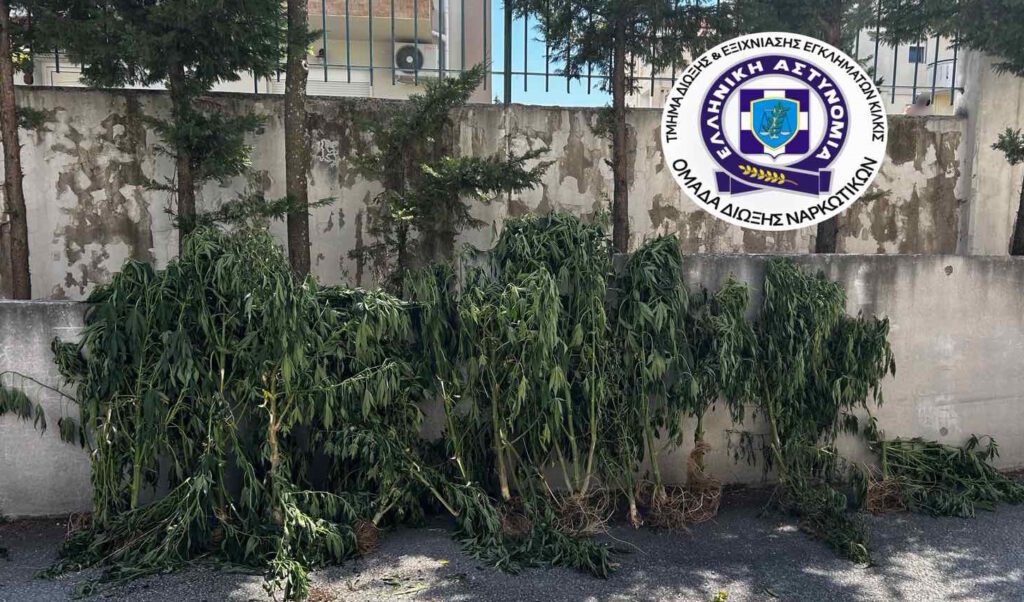 Θεσσαλονίκη: Μετέτρεψε το δωμάτιο του σπιτιού του σε… εργαστήρι ναρκωτικών (ΦΩΤΟ)