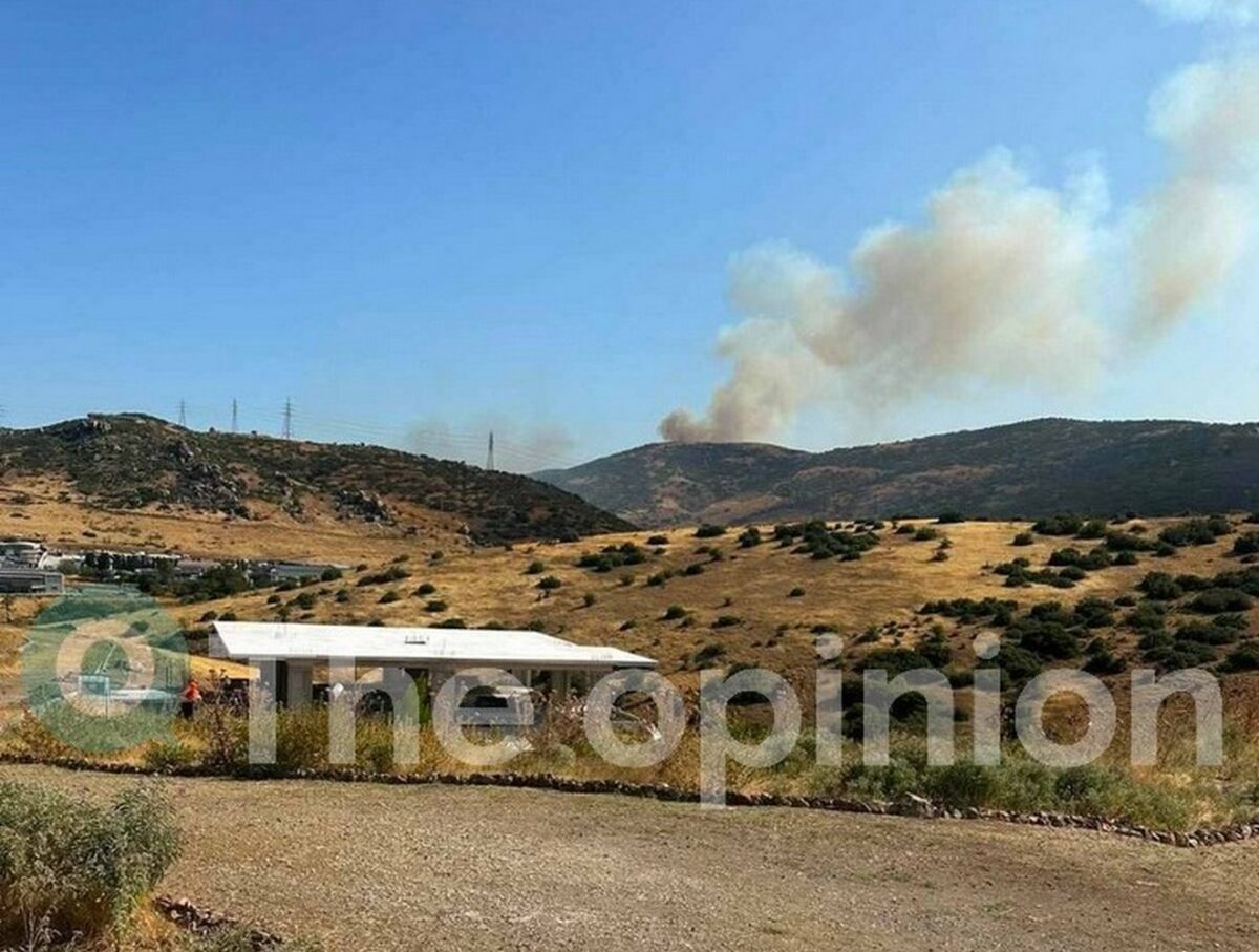 Θεσσαλονίκη: Συναγερμός για μεγάλη φωτιά στο Δερβένι – Ήχησε το 112, μάχη με τις φλόγες στο Περιβαλλοντικό Πάρκο