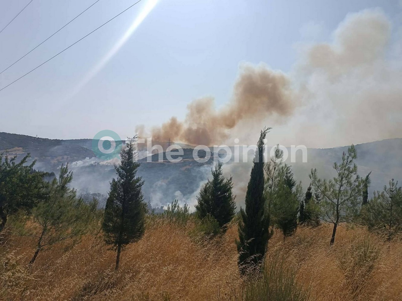 Θεσσαλονίκη: Συναγερμός για μεγάλη φωτιά στο Δερβένι – Ήχησε το 112, μάχη με τις φλόγες στο Περιβαλλοντικό Πάρκο (ΦΩΤΟ-VIDEO)