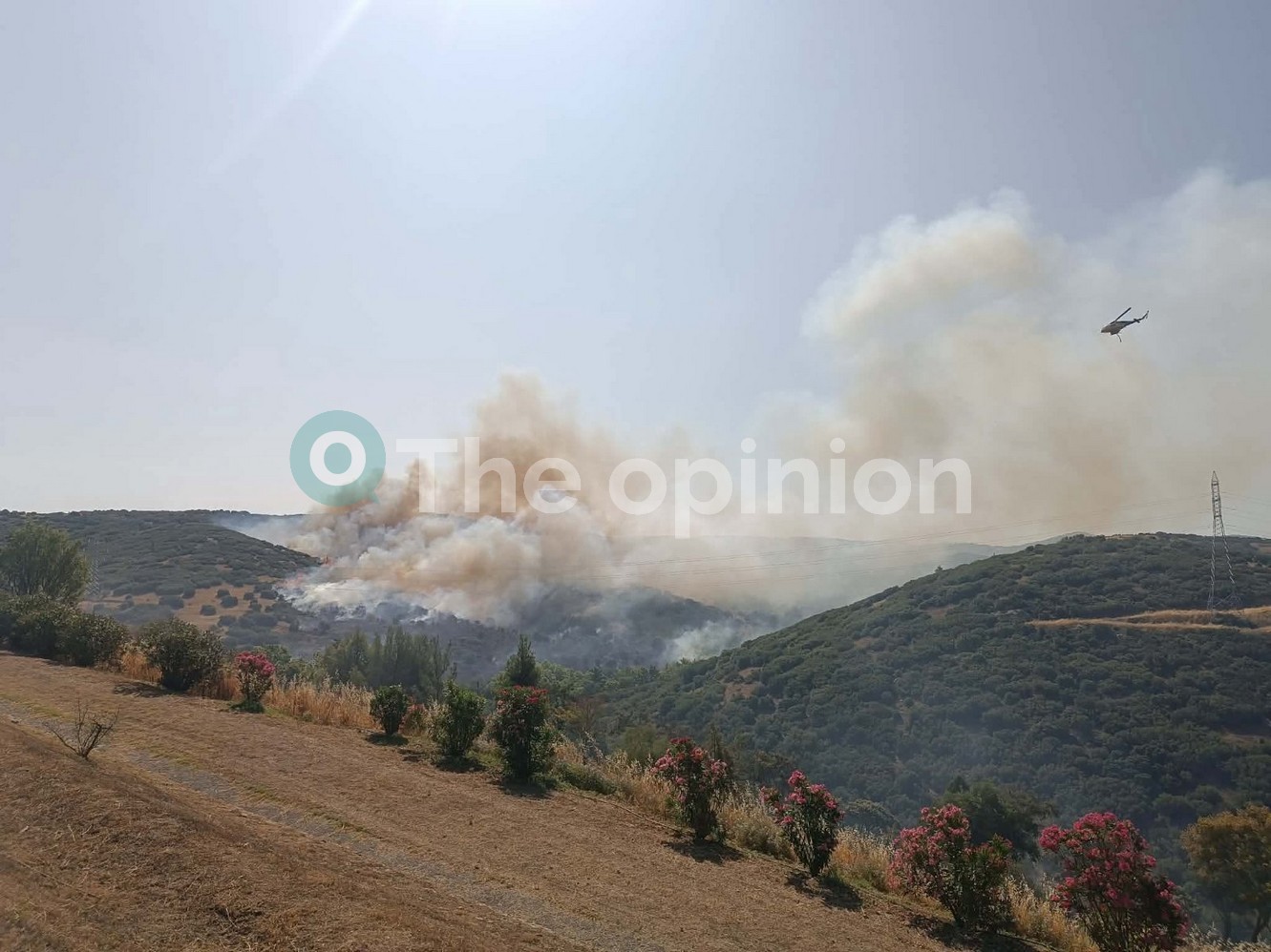 Θεσσαλονίκη: Συναγερμός για μεγάλη φωτιά στο Δερβένι – Ήχησε το 112, μάχη με τις φλόγες στο Περιβαλλοντικό Πάρκο (ΦΩΤΟ-VIDEO)