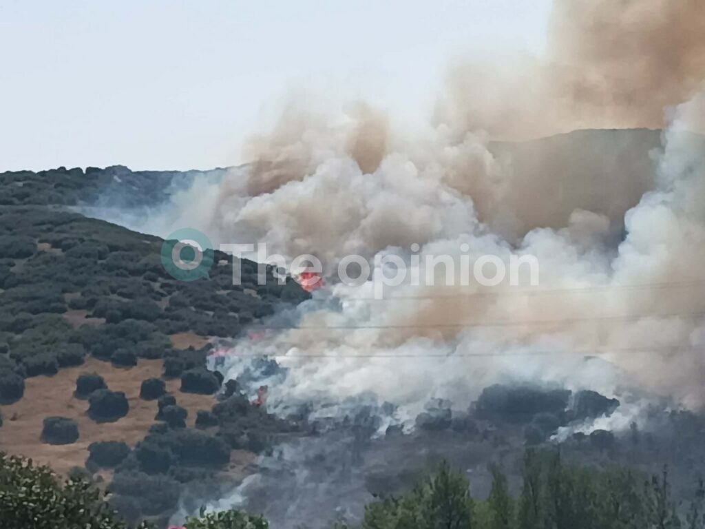 Θεσσαλονίκη: Οριοθετήθηκε η πυρκαγιά στο Περιβαλλοντικό Πάρκο Δερβενίου (ΦΩΤΟ-VIDEO)