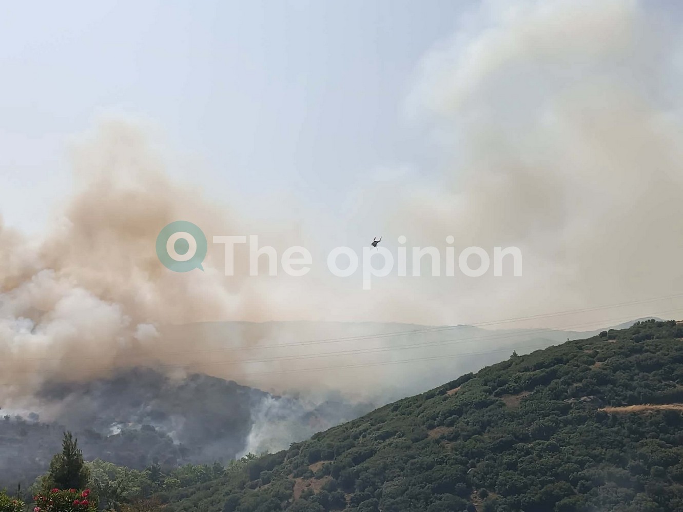 Θεσσαλονίκη: Συναγερμός για μεγάλη φωτιά στο Δερβένι – Ήχησε το 112, μάχη με τις φλόγες στο Περιβαλλοντικό Πάρκο (ΦΩΤΟ-VIDEO)