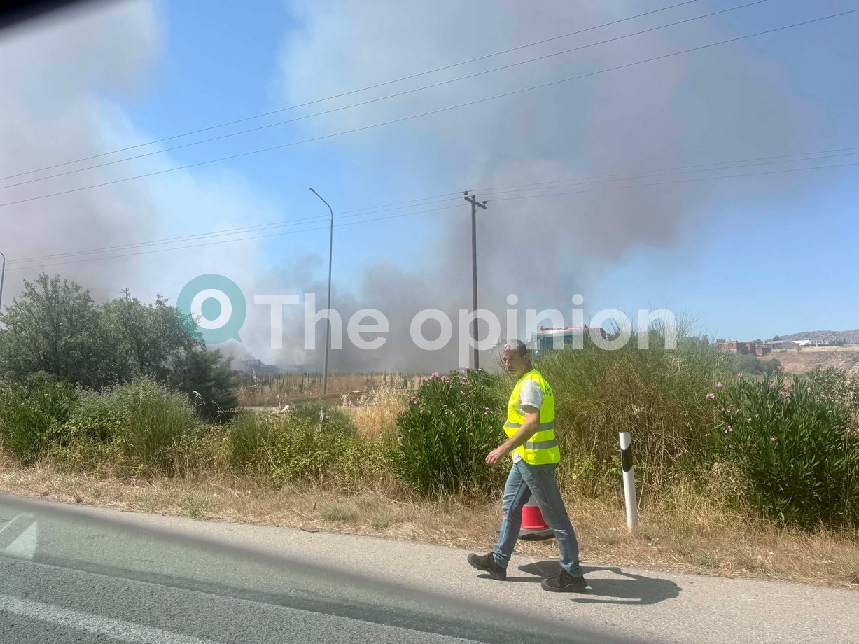 Θεσσαλονίκη: Χωρίς ενεργό μέτωπο η φωτιά στα Διαβατά (ΦΩΤΟ-VIDEO)
