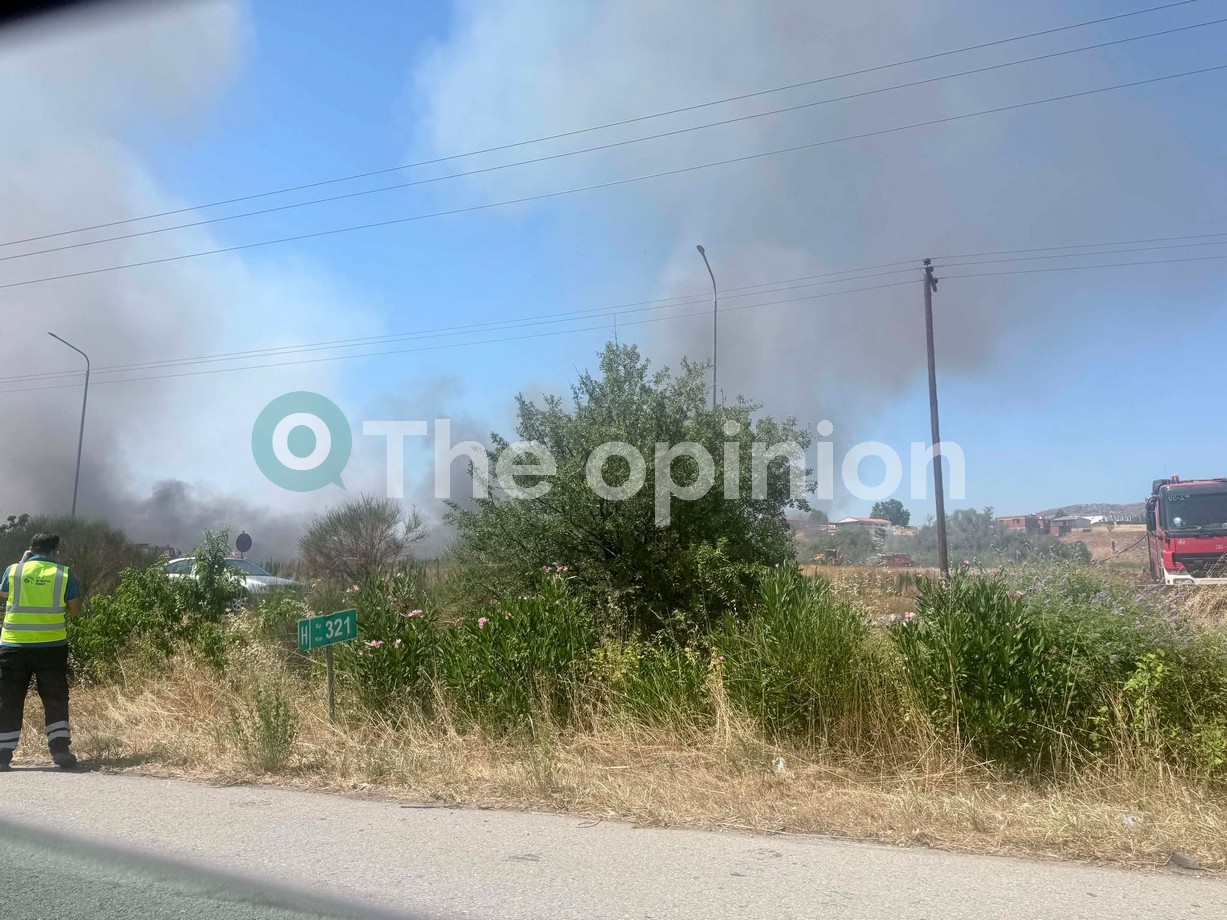 Θεσσαλονίκη: Χωρίς ενεργό μέτωπο η φωτιά στα Διαβατά (ΦΩΤΟ-VIDEO)