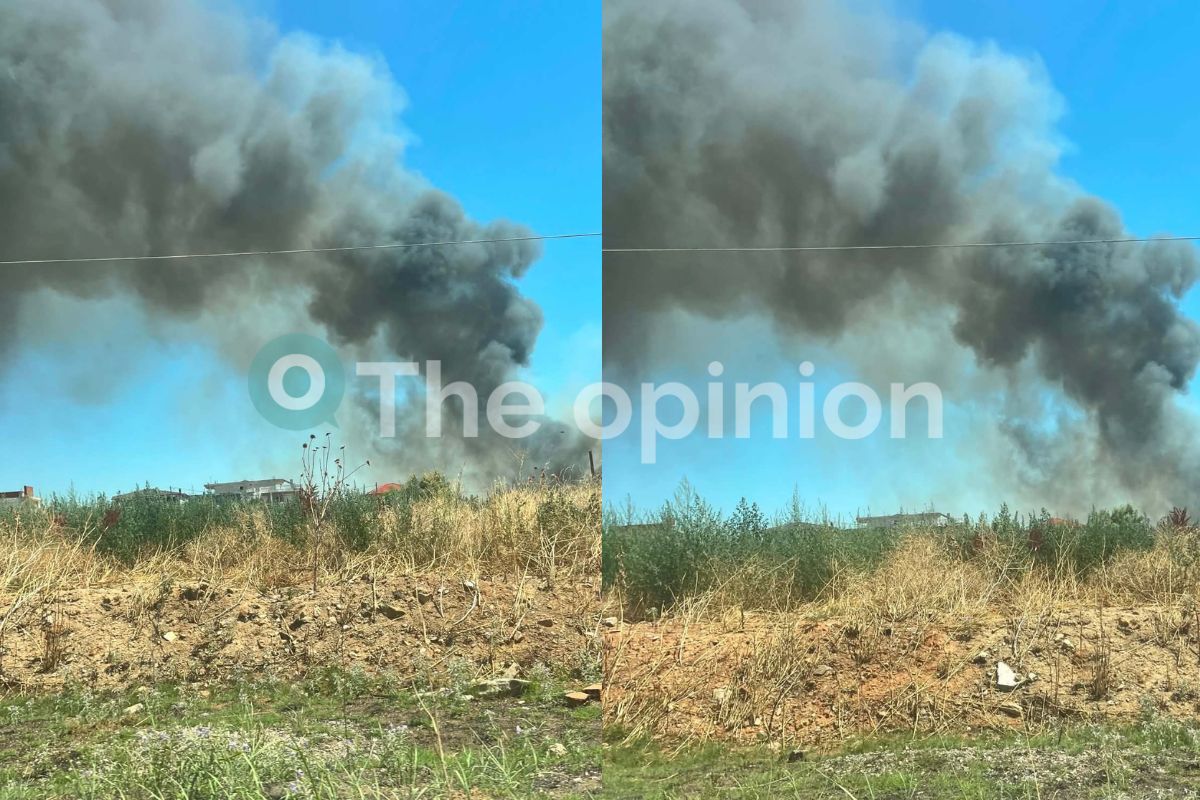 Θεσσαλονίκη: Χωρίς ενεργό μέτωπο η φωτιά στα Διαβατά (ΦΩΤΟ-VIDEO)