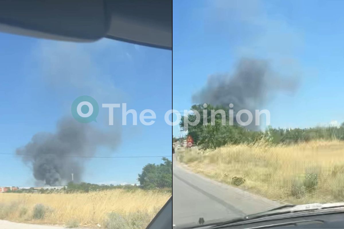 Θεσσαλονίκη: Χωρίς ενεργό μέτωπο η φωτιά στα Διαβατά (ΦΩΤΟ-VIDEO)