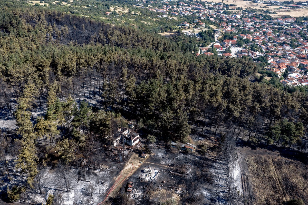 Θεσσαλονίκη: Δύο νεκροί και εικόνες καταστροφής – Ο τραγικός απολογισμός της πυρκαγιάς  (ΦΩΤΟΡΕΠΟΡΤΑΖ)