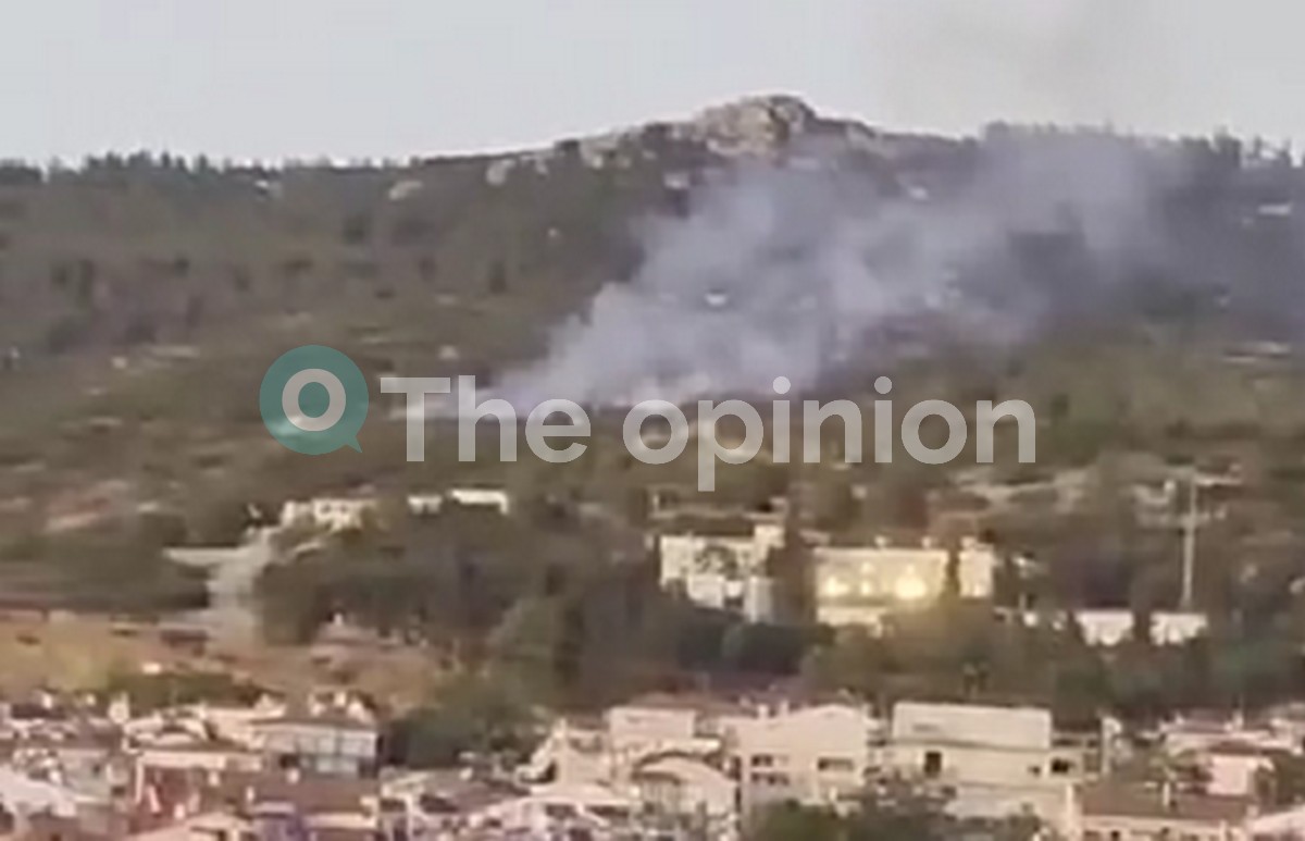 Φωτιά στο Φίλυρο – Κατασβέστηκε άμεσα (VIDEO)