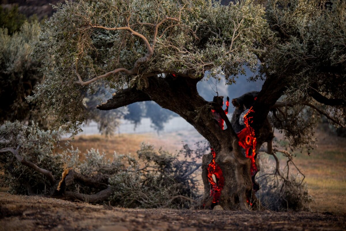 Ρέθυμνο