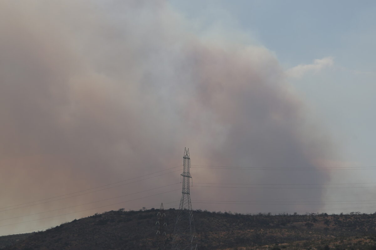Το 38% των δασών της Αττικής κάηκε μέσα στα 9 τελευταία χρόνια