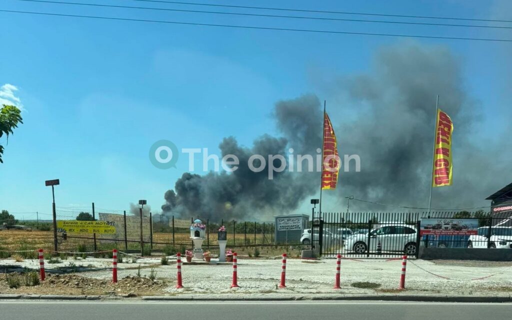 Θεσσαλονίκη: Σε ύφεση η φωτιά στο Περιβολάκι – Επιχειρούν επίγειες και εναέριες δυνάμεις (ΦΩΤΟ+VIDEO)