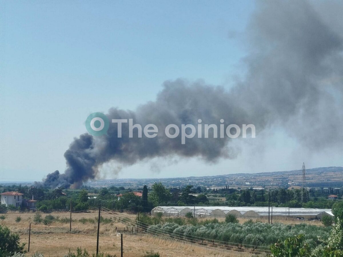 Θεσσαλονίκη: Φωτιά κοντά σε σπίτια στη Σουρωτή – 112 για εκκένωση – Ενισχύθηκαν οι δυνάμεις (ΦΩΤΟ+VIDEO)