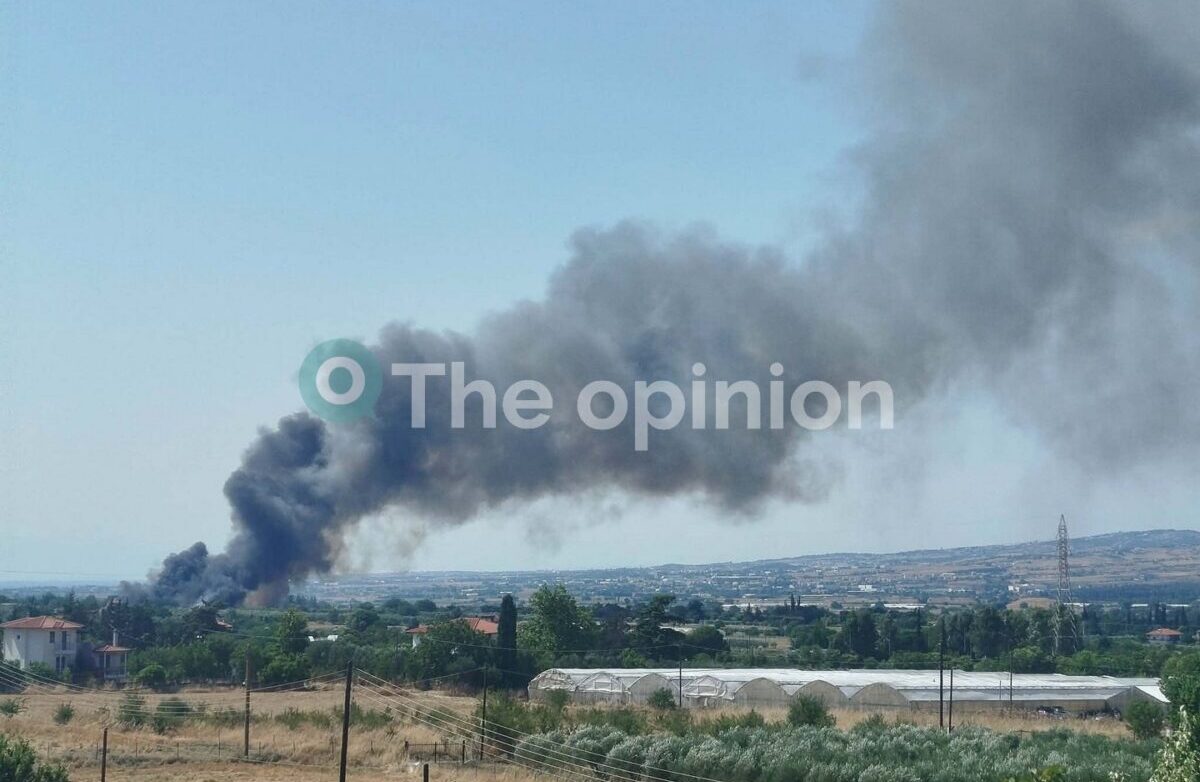 Θεσσαλονίκη: Φωτιά κοντά σε σπίτια στη Σουρωτή – 112 για εκκένωση – Ενισχύθηκαν οι δυνάμεις (ΦΩΤΟ+VIDEO)