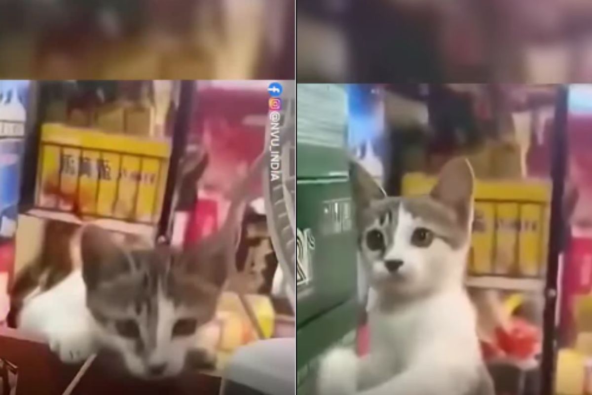 ληστής