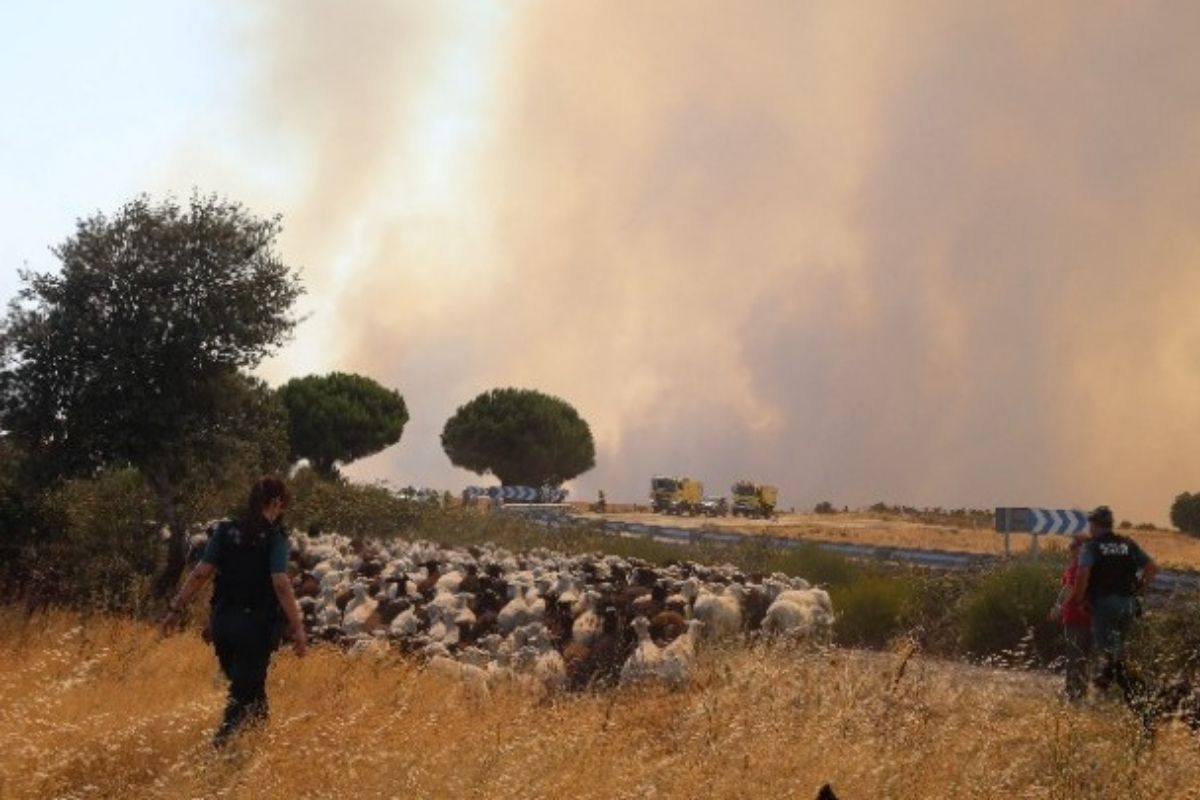 Υπό έλεγχο η μεγάλη φωτιά έξω από τη Μαδρίτη – Παραμένει σε επιφυλακή η Ισπανία λόγω καύσωνα