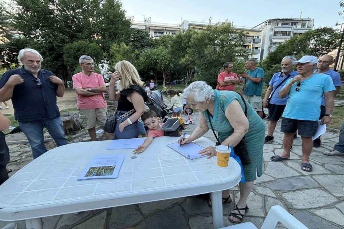 Καλαμαριά: Αντιδράσεις για την κοπή 23 δέντρων στο πάρκο «Μάνος Κατράκης» (ΦΩΤΟ)