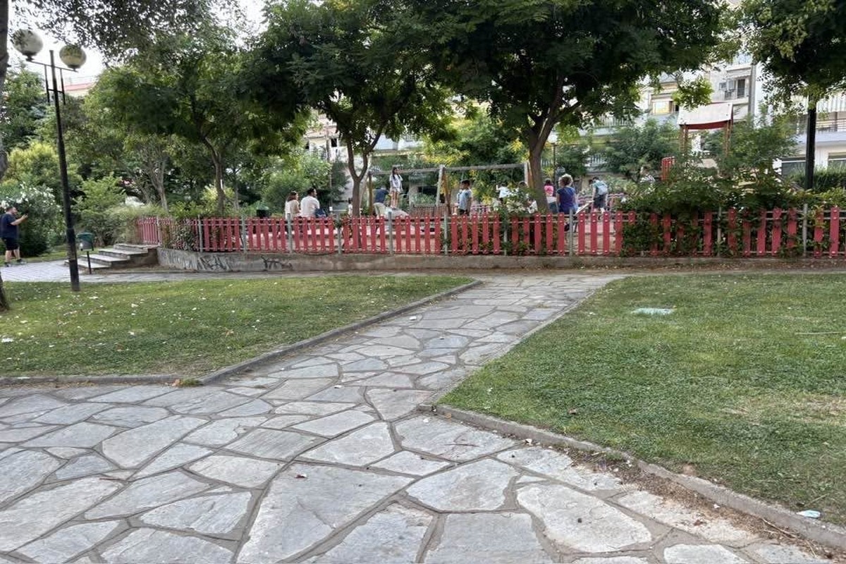 Καλαμαριά: Αντιδράσεις για την κοπή 23 δέντρων στο πάρκο «Μάνος Κατράκης» (ΦΩΤΟ)
