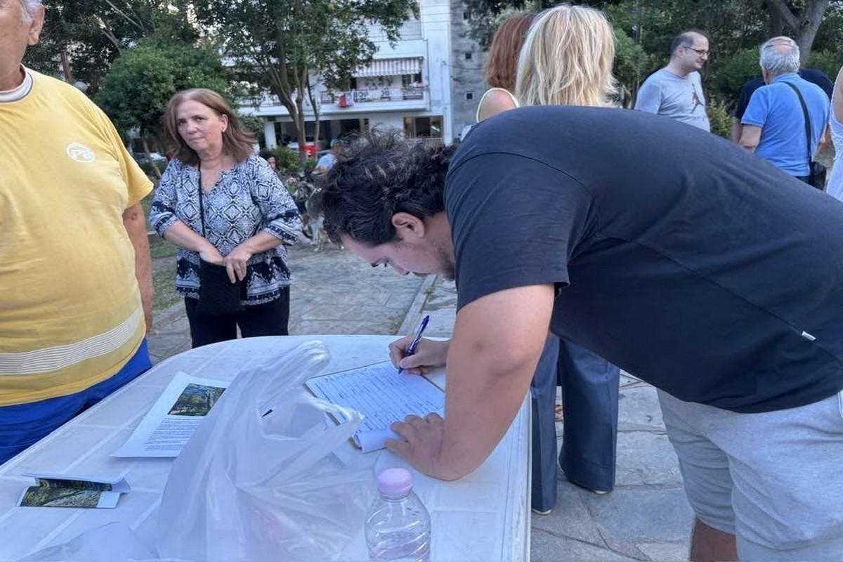 Καλαμαριά: Αντιδράσεις για την κοπή 23 δέντρων στο πάρκο «Μάνος Κατράκης» (ΦΩΤΟ)