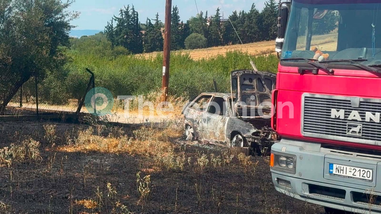 Χωρίς ενεργό μέτωπο η φωτιά στη Νέα Κερασιά Θεσσαλονίκης (ΦΩΤΟ+VIDEO)
