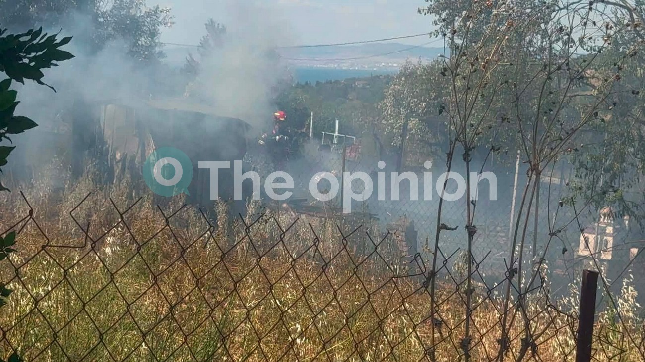 Χωρίς ενεργό μέτωπο η φωτιά στη Νέα Κερασιά Θεσσαλονίκης (ΦΩΤΟ+VIDEO)