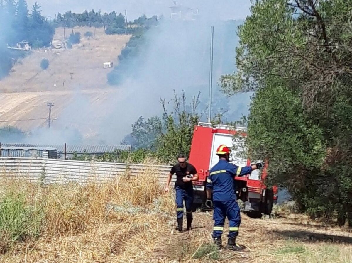 Χωρίς ενεργό μέτωπο η φωτιά στη Νέα Κερασιά Θεσσαλονίκης (VIDEO)