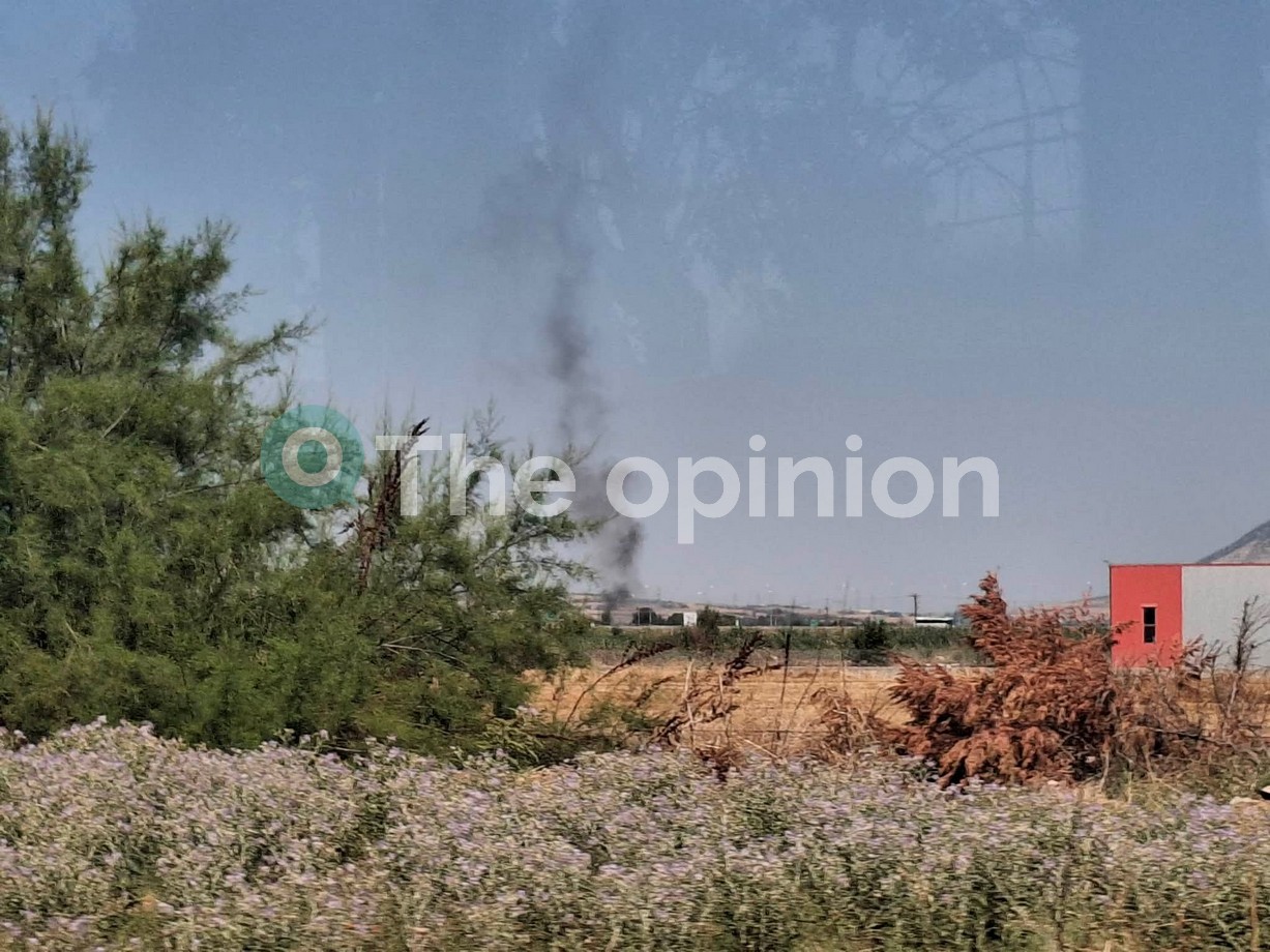 Θεσσαλονίκη: Φωτιά στη Λητή (ΦΩΤΟ)