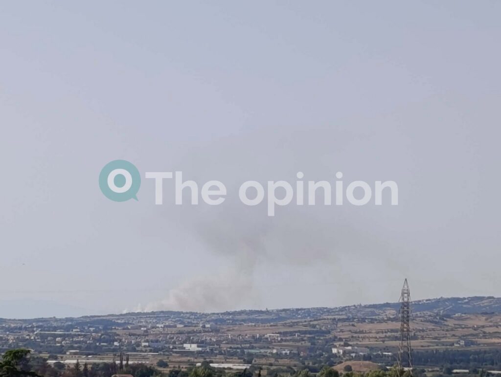 Θεσσαλονίκη: Oριοθετήθηκε η φωτιά στην Πυλαία (ΦΩΤΟ+VIDEO)