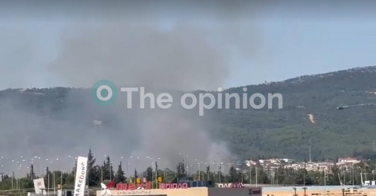 Θεσσαλονίκη: Φωτιά στην Πυλαία – Ήχησε το 112 – Επτά εναέρια στη μάχη (VIDEO)