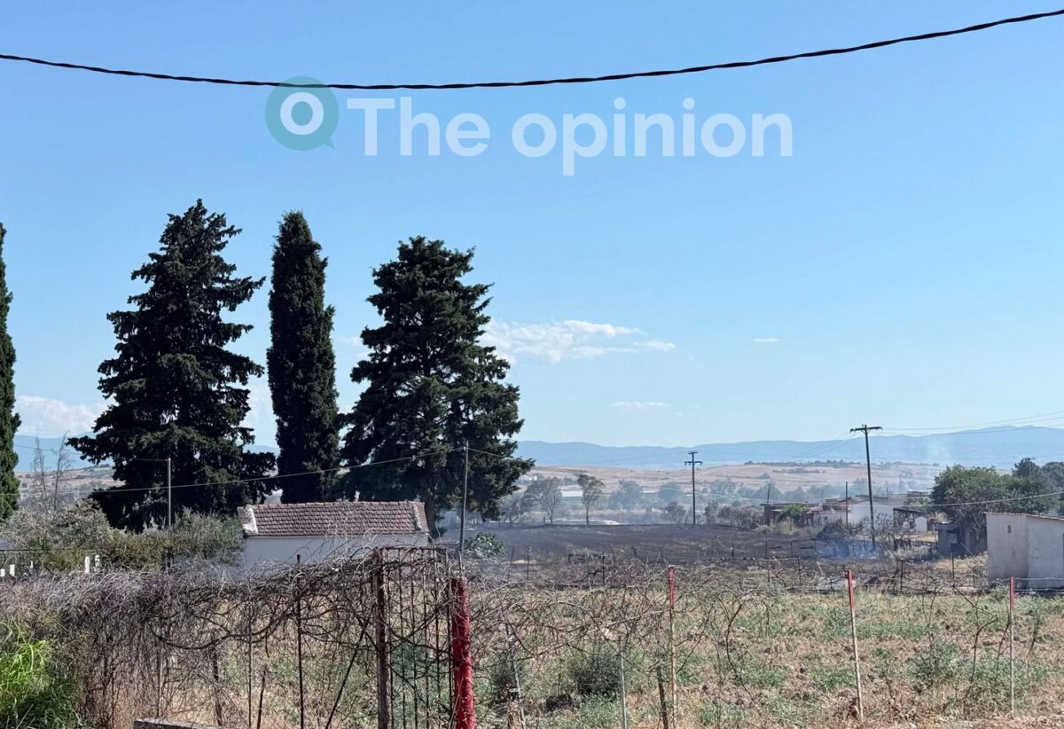 Συνελήφθησαν δύο άτομα για τη φωτιά στις Οινούσσες Σερρών – Σπινθήρες από όχημα προκάλεσαν την πυρκαγιά