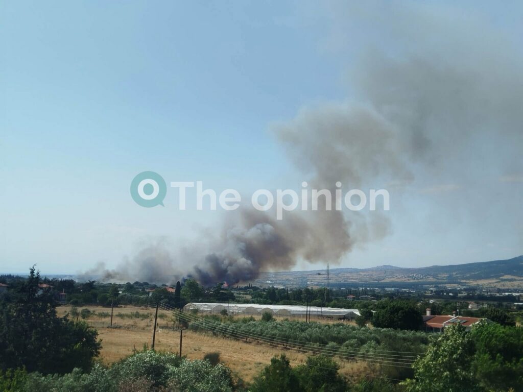 Υπό έλεγχο και οι τρεις φωτιές στη Θεσσαλονίκη (ΦΩΤΟ+VIDEO)