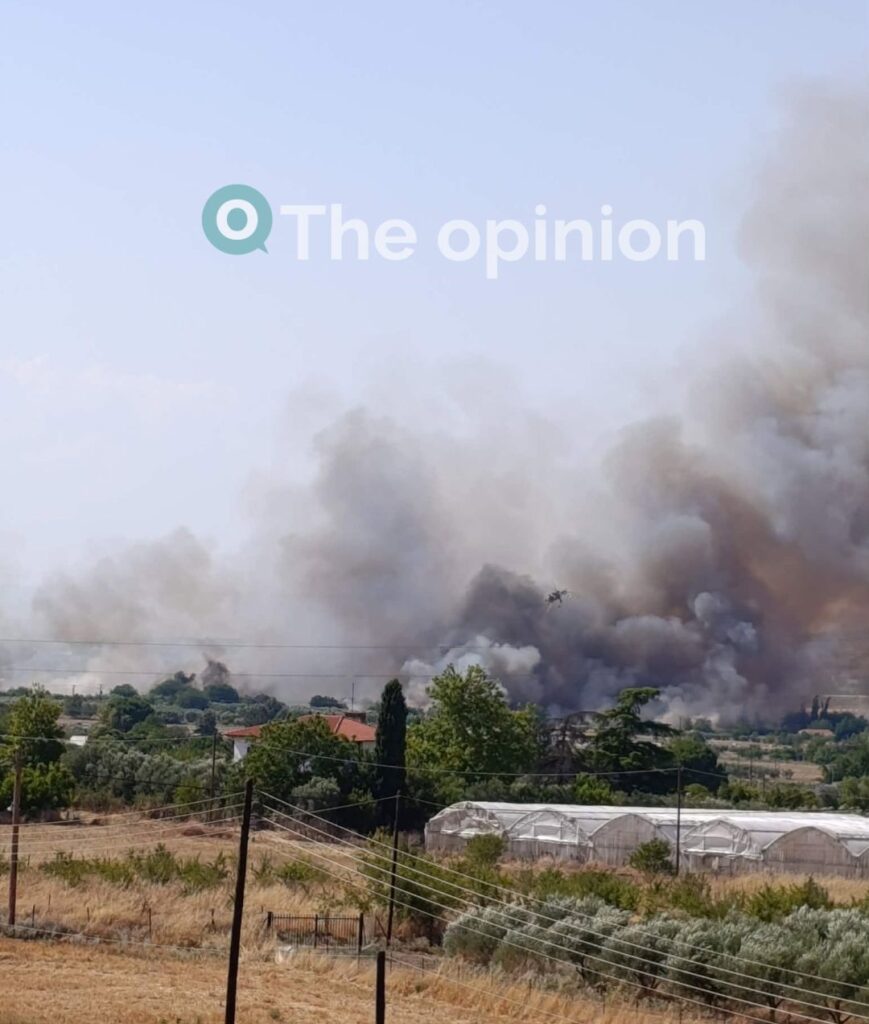 Υπό έλεγχο και οι τρεις φωτιές στη Θεσσαλονίκη (ΦΩΤΟ+VIDEO)