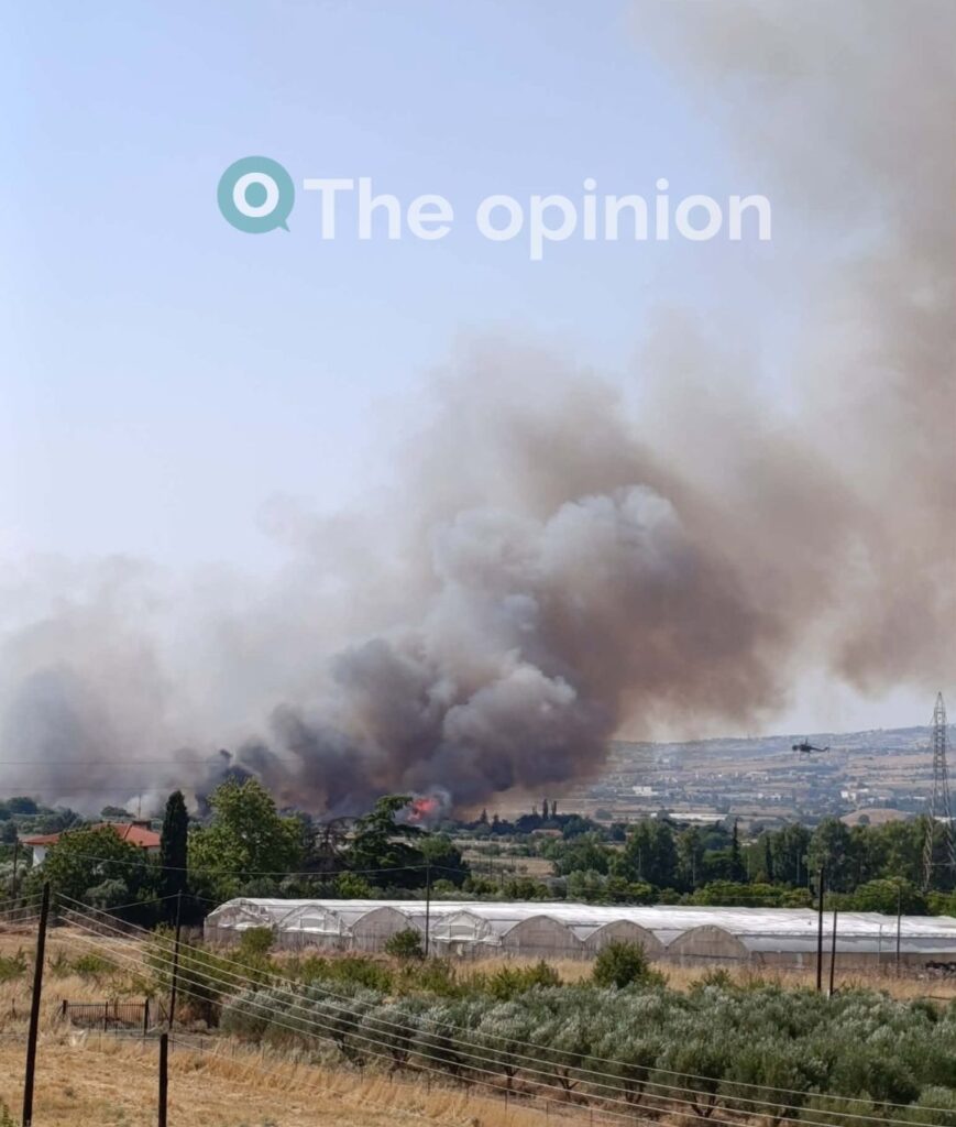 Θεσσαλονίκη: Φωτιά κοντά σε σπίτια στη Σουρωτή – 112 για εκκένωση – Ενισχύθηκαν οι δυνάμεις (ΦΩΤΟ+VIDEO)