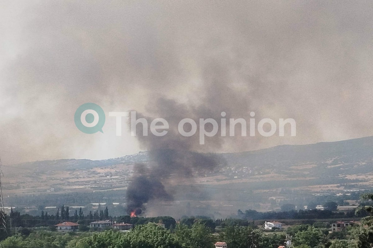 Θεσσαλονίκη: 15 φωτιές τη μέρα – «Χαρακτηριστικά εγκληματικής αμέλειας» λένε ειδικοί (VIDEO)