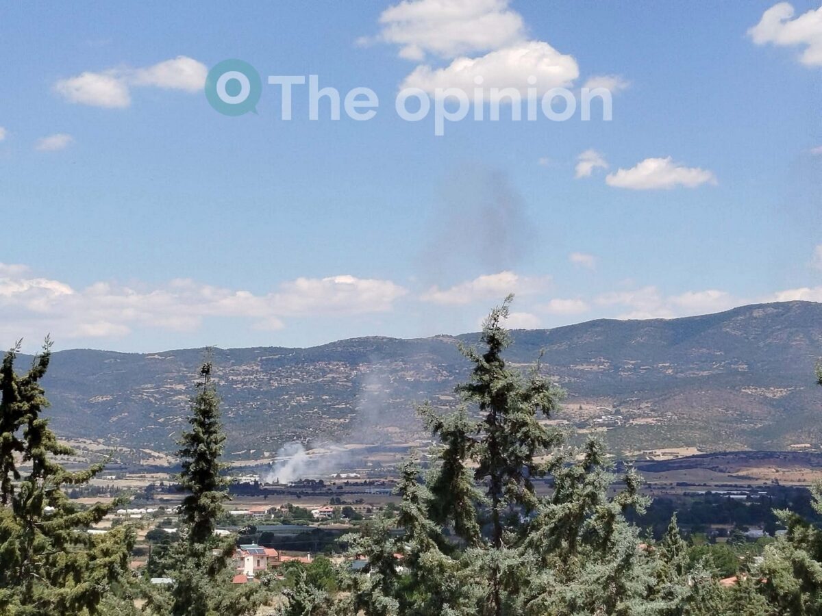 Θεσσαλονίκη: Αθώος ο 56χρονος για τη φωτιά στα Βασιλικά