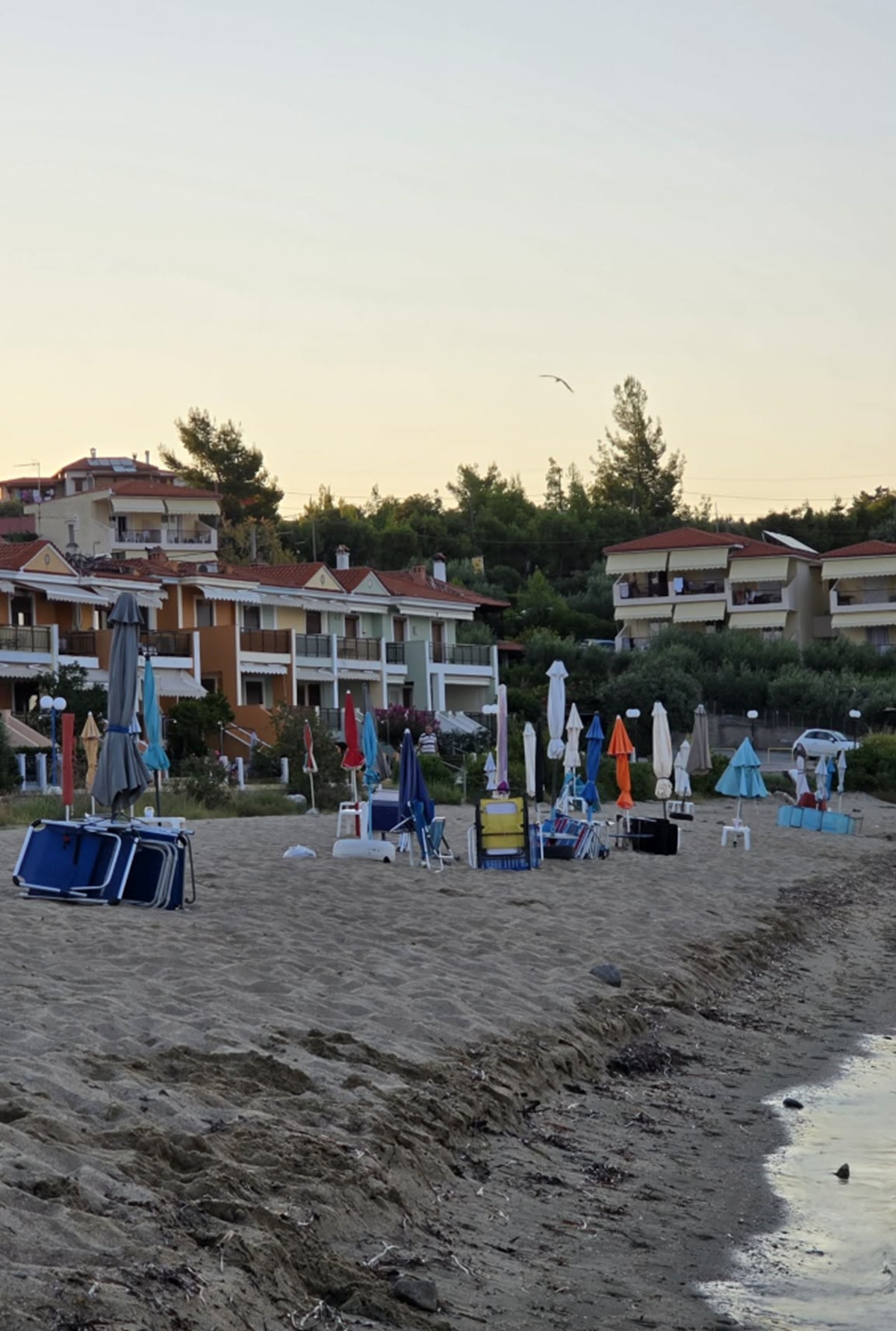 Χαλκιδική: Επιχείρηση «σκούπα» στην παραλία της Γερακινής – Απομακρύνθηκαν δεκάδες πακτωμένες ομπρέλες και ξαπλώστρες (ΦΩΤΟ)