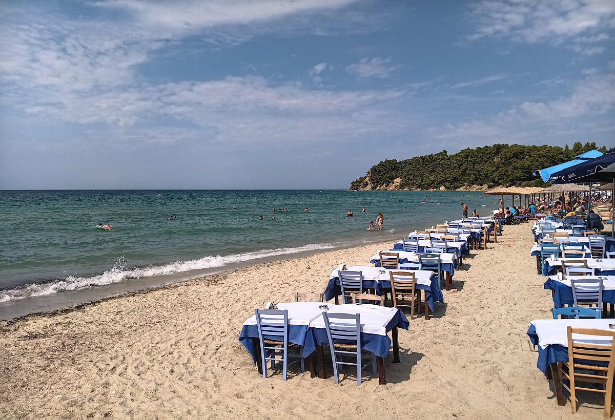 Χαλκιδική – Φωτιά: Η Σίβηρη, το καμένο δάσος, η κανονικότητα – Αισιοδοξία και προβληματισμός (ΦΩΤΟ-VIDEO)