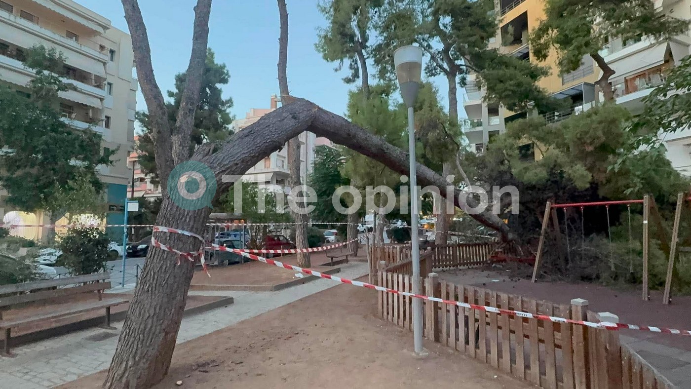 Πανικός στην Καλαμαριά: Δέντρο έπεσε σε πάρκο – Στο νοσοκομείο μητέρα και παιδί (ΦΩΤΟ-VIDEO)