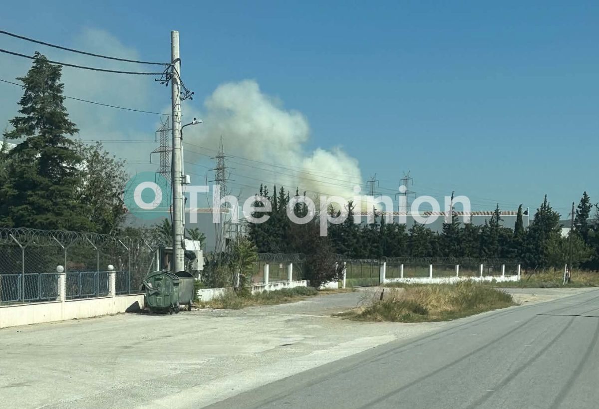 Θεσσαλονίκη: Υπό έλεγχο η φωτιά σε επιχείρηση στο Ωραιόκαστρο (ΦΩΤΟ-VIDEO)