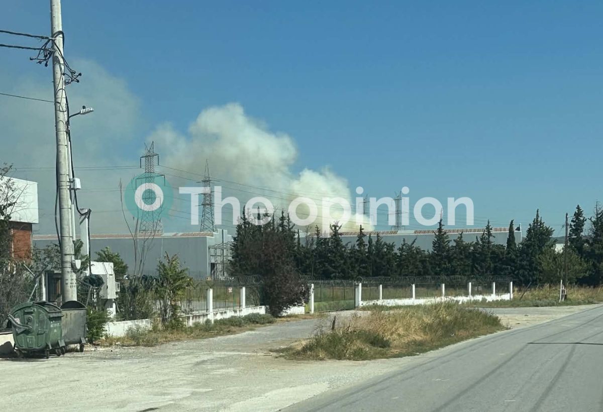 Θεσσαλονίκη: Υπό έλεγχο η φωτιά σε επιχείρηση στο Ωραιόκαστρο (ΦΩΤΟ-VIDEO)
